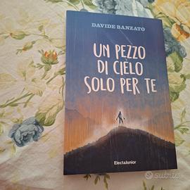 Un pezzo di cielo solo per te: Davide Banzato 