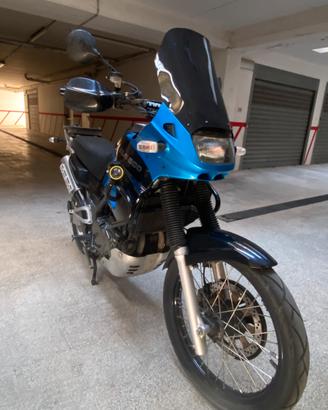 Kawasaki Kle 500 iscritta Asi