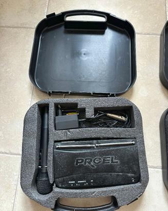 Microfoni wireless RM200
