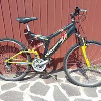 Mountain bike biammortizzata