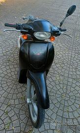 Scarabeo