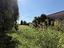 Immagine 29
