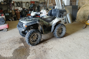 Kawasaki brute force 750i