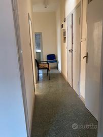 Appartamento + terrazzo