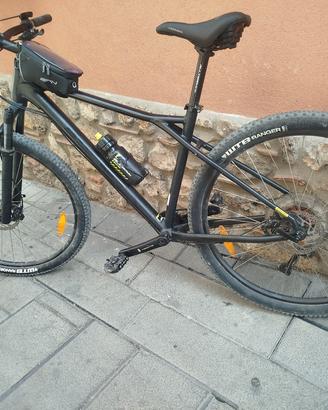 MTB GT AVALANCE EXPERT