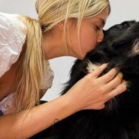 Dog trainer/sitting e pensioni per cani