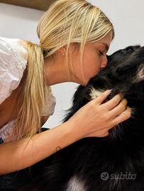 Dog trainer/sitting e pensioni per cani