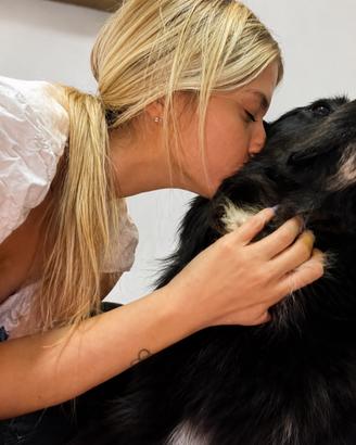Dog trainer/sitting e pensioni per cani