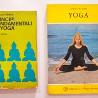 2 volumi di argomento yoga 🕉️