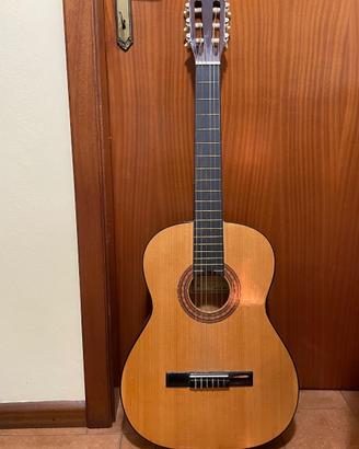 Chitarra  Masaaki