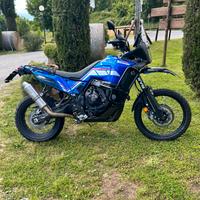 TENERE 700 World Rally