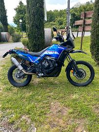 TENERE 700 World Rally