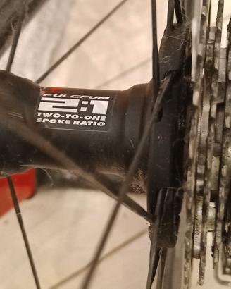 Bici da corsa kuota kharma 