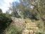 Immagine 12