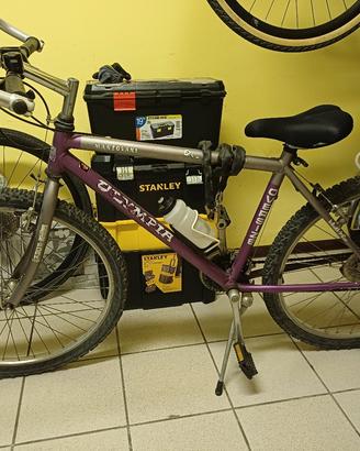 mountain  bike funzionante 