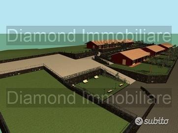 Terreno edificabile con progetto a montargano