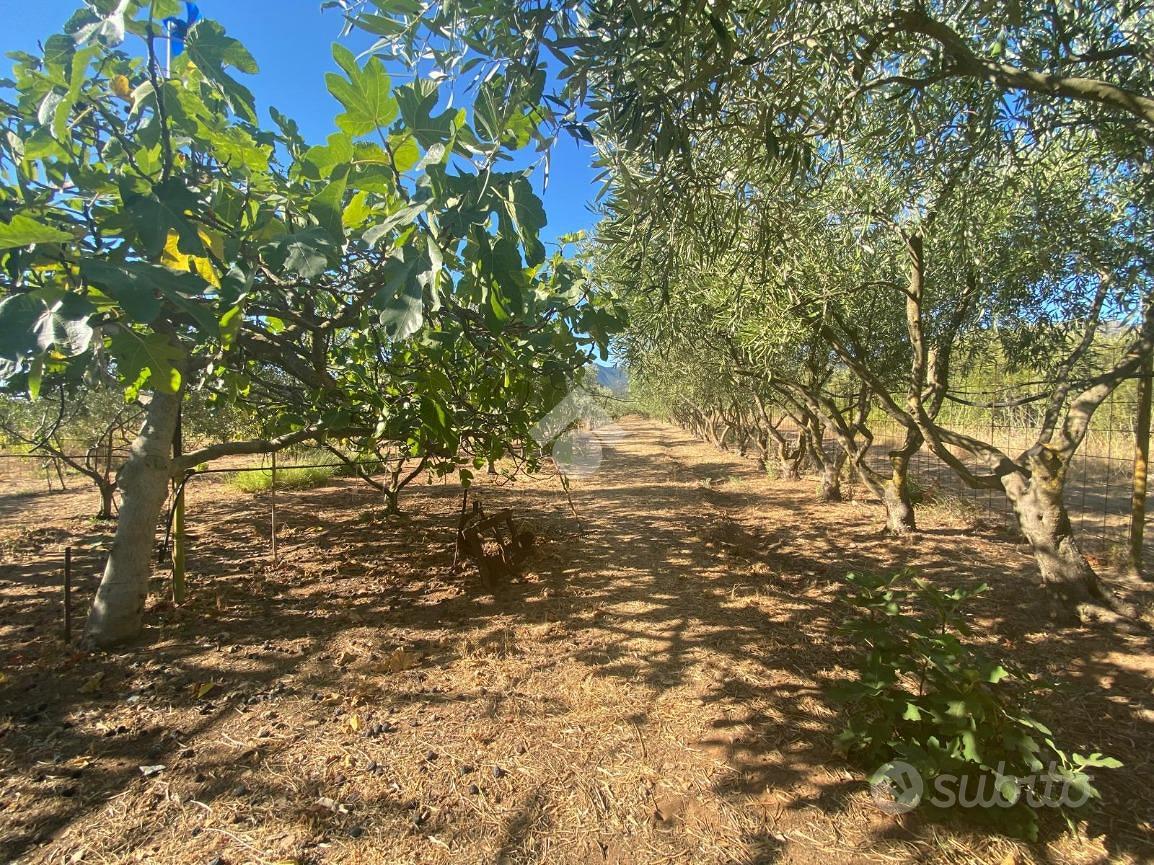 TER. AGRICOLO A CAPOTERRA - Vista 5