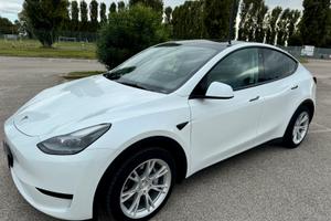 Tesla Model Y RWD 2023 Standard range