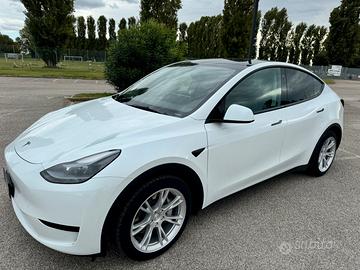 Tesla Model Y RWD 2023 Standard range