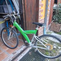 bicicletta da ragazzo