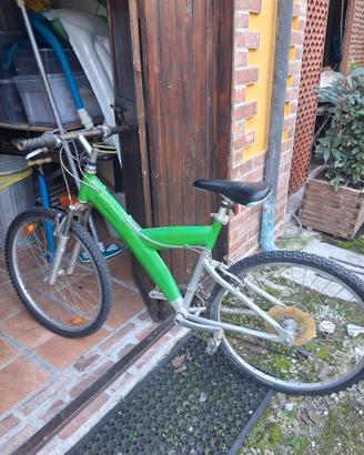 bicicletta da ragazzo