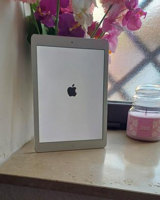 iPad Air