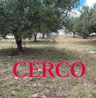 C.E.R.C.O Piccolo Terreno