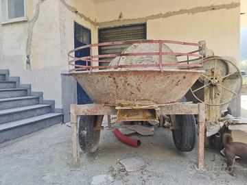 Molazza in discrete condizioni