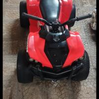 quad elettrico 