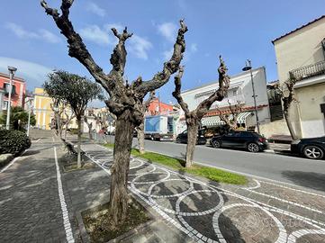 3 LOCALI A BARANO D'ISCHIA