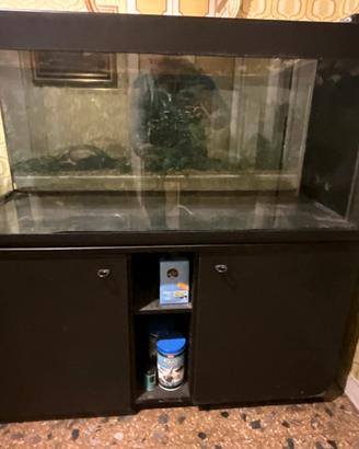 Acquario con mobile 300 litri