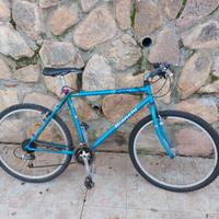 Mountain Bike Bianchi