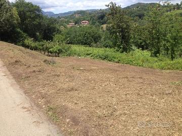 Atripalda mq 5500 Terreno agricolo