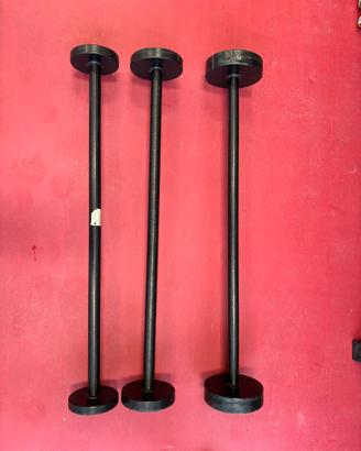Bilanceri da palestra