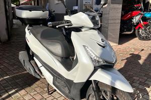 Sym HD 300