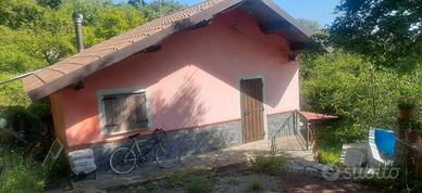 In mezzo al verde