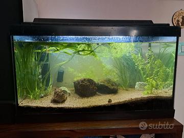 Acquario 60 litri completo di accessori