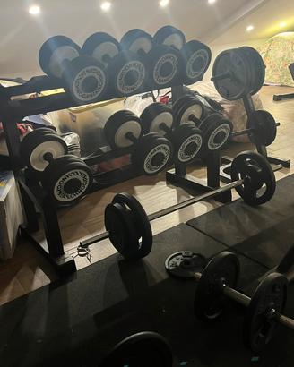 Manubri e rastrelliera Technogym