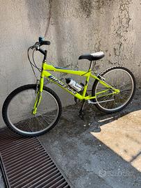 Bicicletta  Marzano