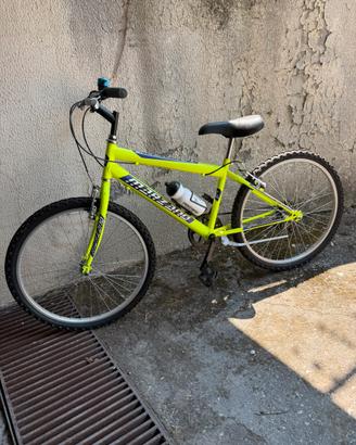 Bicicletta  Marzano