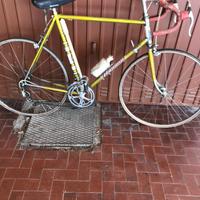 Biciclette di diverse misure