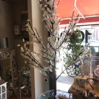 Albero di pesco a luci Led