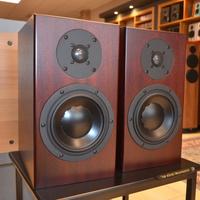 Diffusori TOTEM SIGNATURE ONE (Seminuovi)