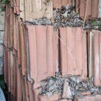 Tegole coppi per tetti e coperture