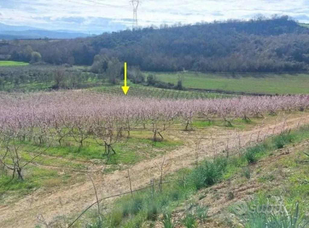 Immobile in asta di 49480 m² a Altomonte - Vista 4