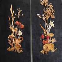 fiori e stelle alpine essiccati 