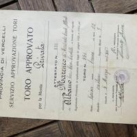 Pedigree TORO VERCELLI SERVIZIO MONTA 1936