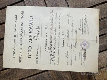 Pedigree TORO VERCELLI SERVIZIO MONTA 1936