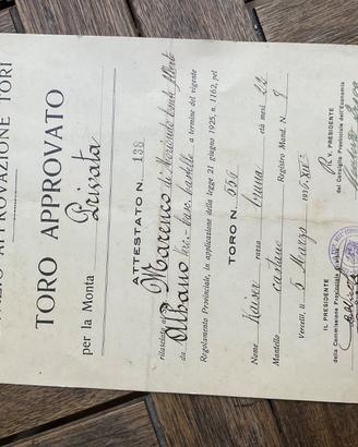 Pedigree TORO VERCELLI SERVIZIO MONTA 1936