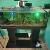 acquario completo